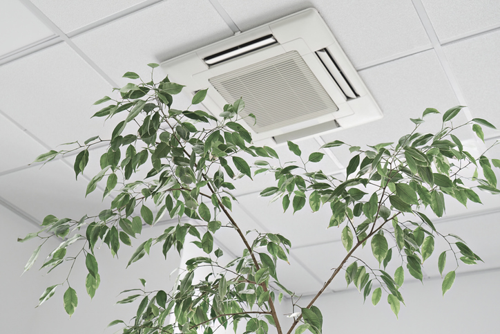 The Role of Humidity Control in Better Indoor Air Quality